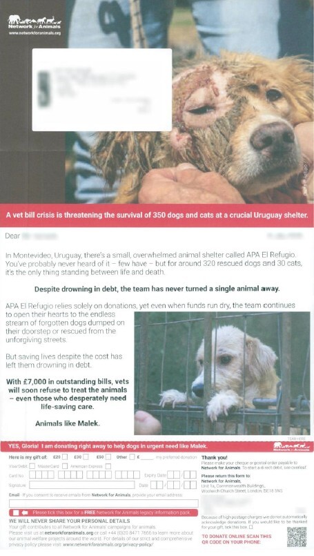 Image showing the front page of a 2page ask letter from Network for Animals. The bottom of the letter shows a caged dog looking down towards the response device thereby drawing the readers eye towards the CTA
