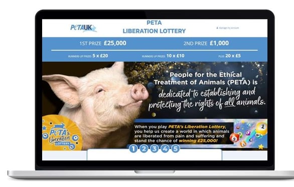 PETAs liberation lottery