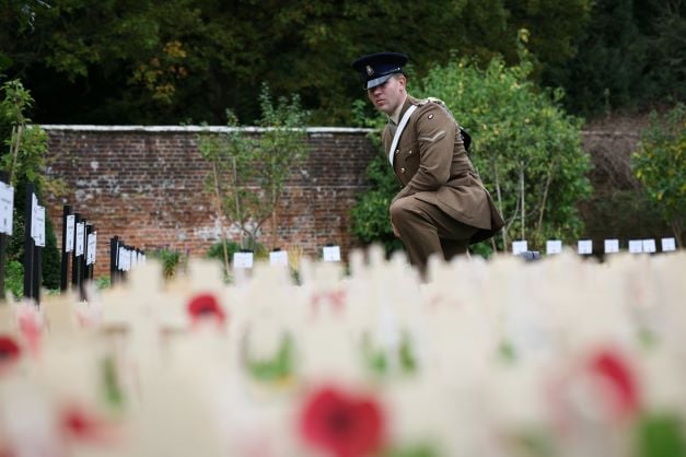 Soldier looking at tributes at RBL fields of remembrance