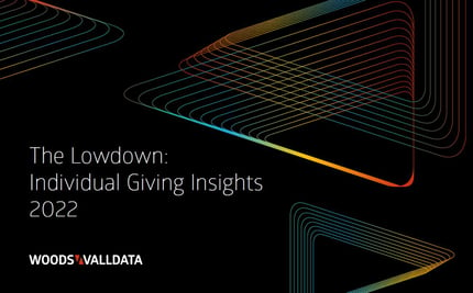 The Lowdown_Individual Giving Insights 2022
