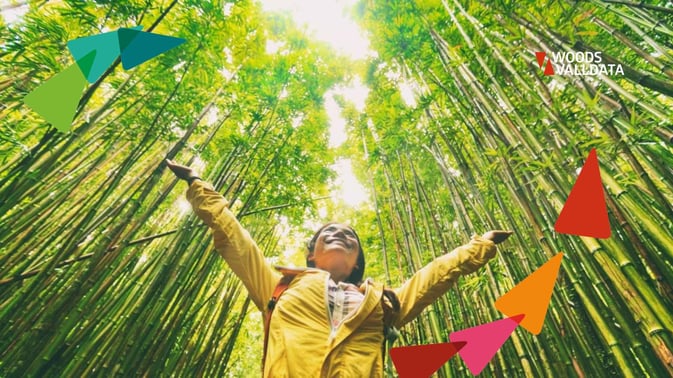 young woman in yellow raincoat standing with arms stretched upwards, palm out towards a canopy of the bamboo forest surrounding her WV Brand